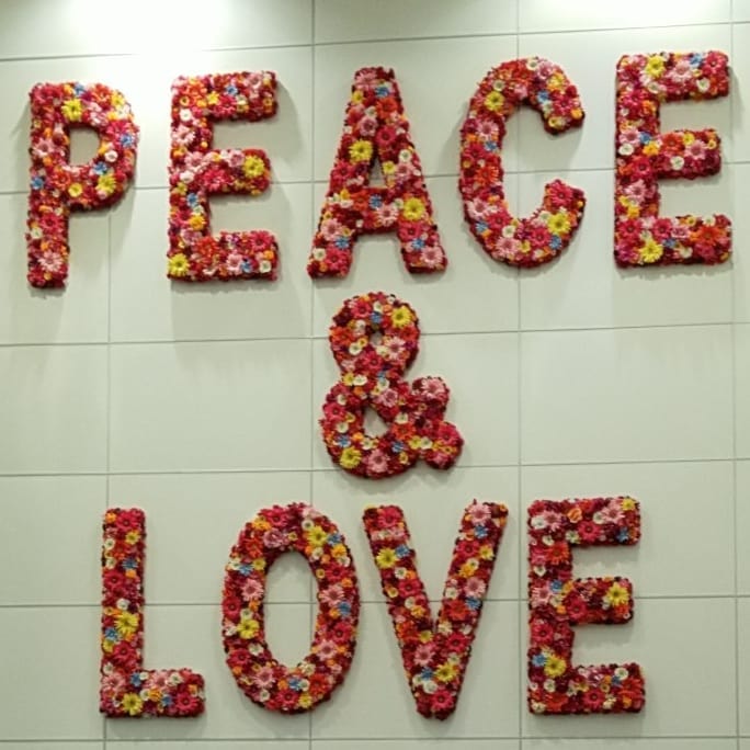 37261502_10212840973161020_6901225198641479680_n